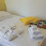 Seaside Gold 1row * Split